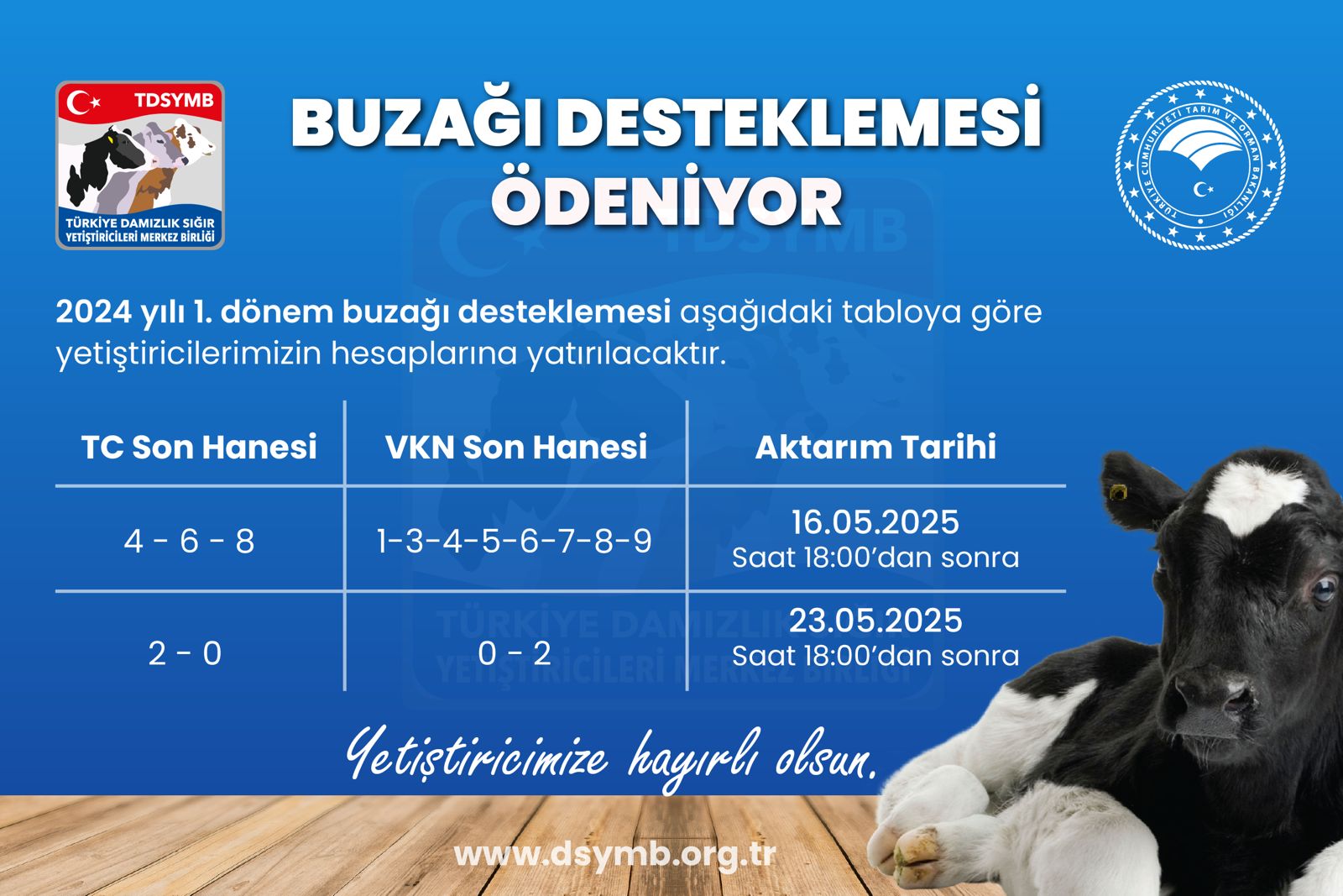 2024 YILI 1. DÖNEM BUZAĞI DESTEKLEME ÖDEMELERİ
