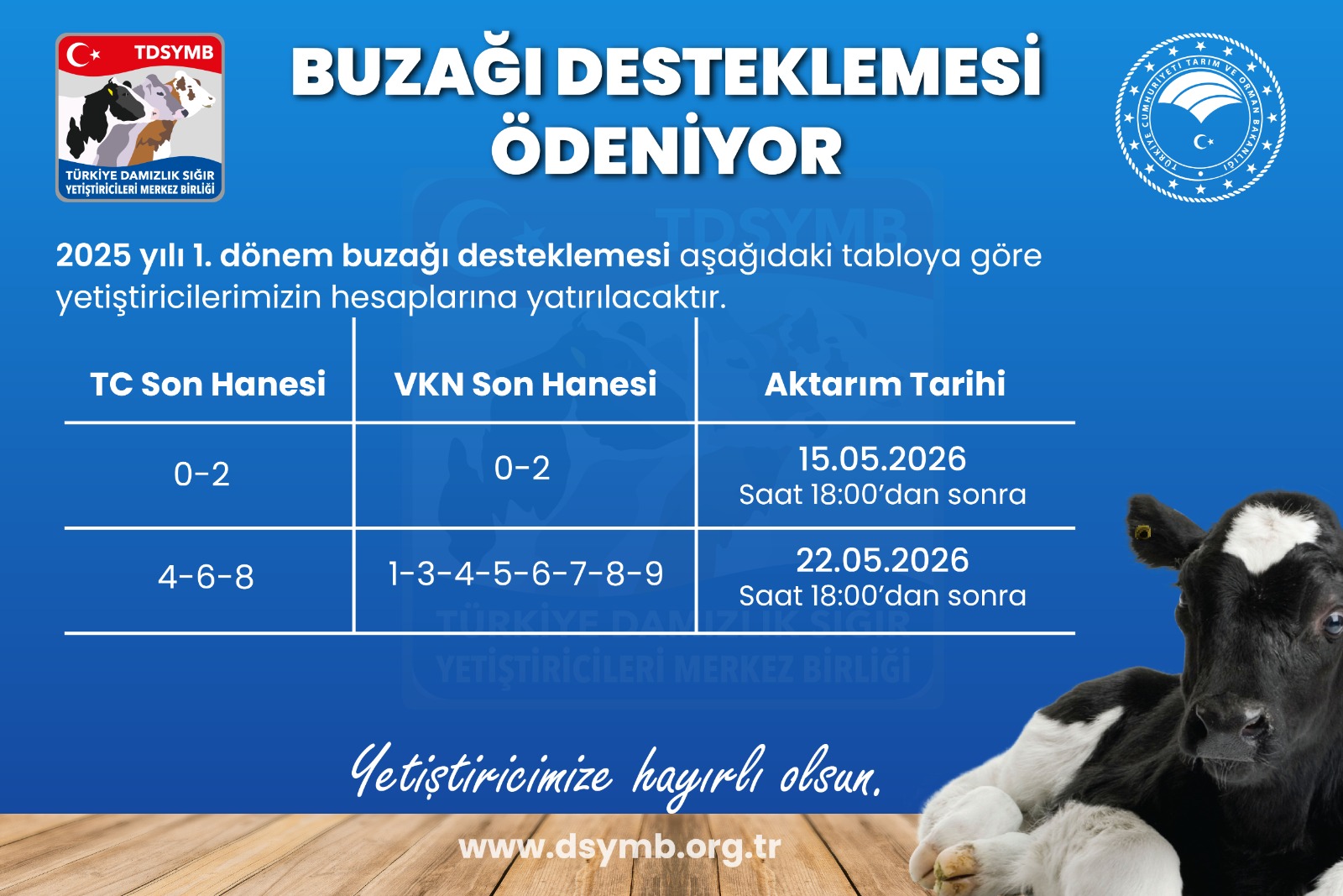 2025 YILI BUZAĞI DESTEKLEMELERİ ÖDENİYOR