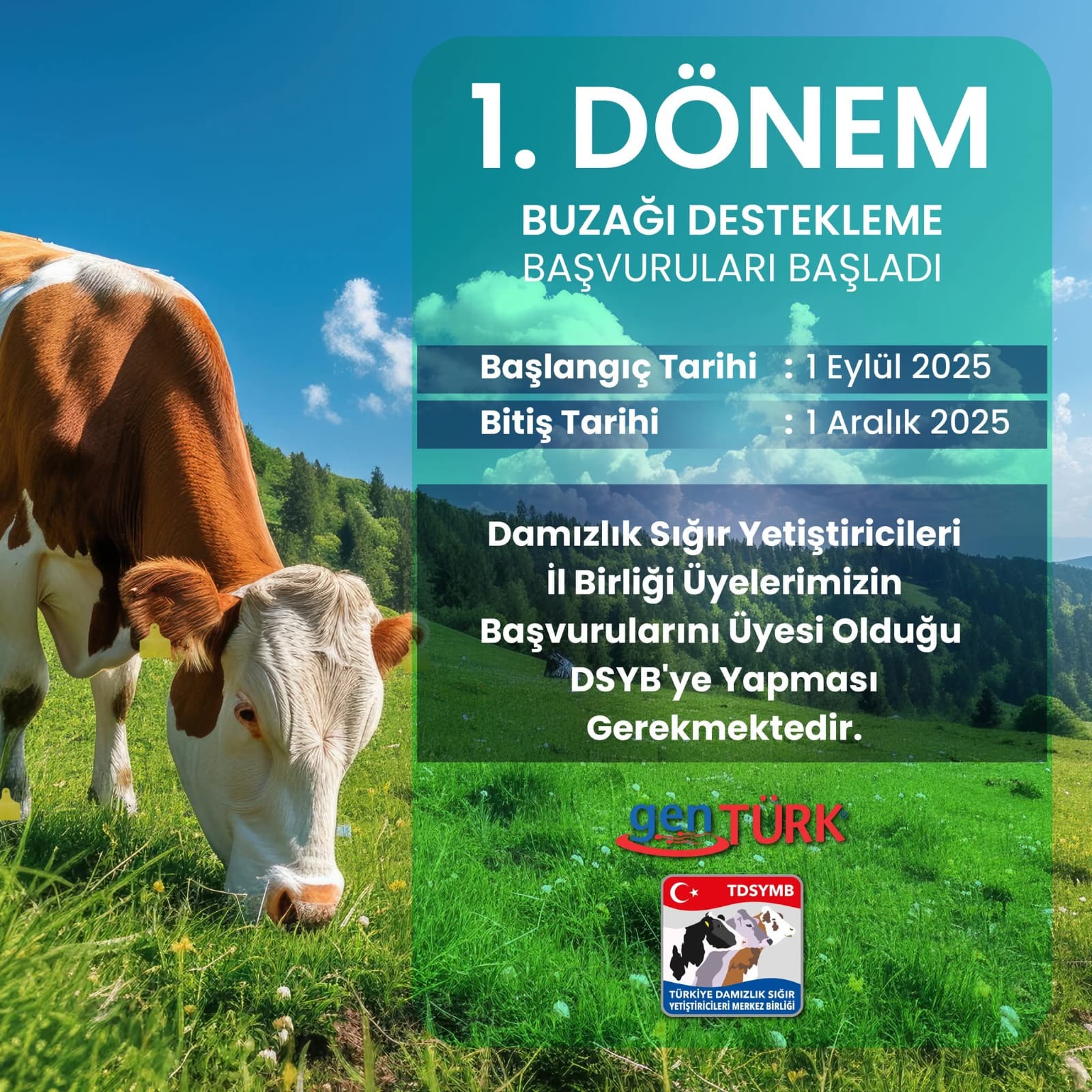 2025 YILI 1. DÖNEM BUZAĞI DESTEKLEME BAŞVURULARI BAŞLADI