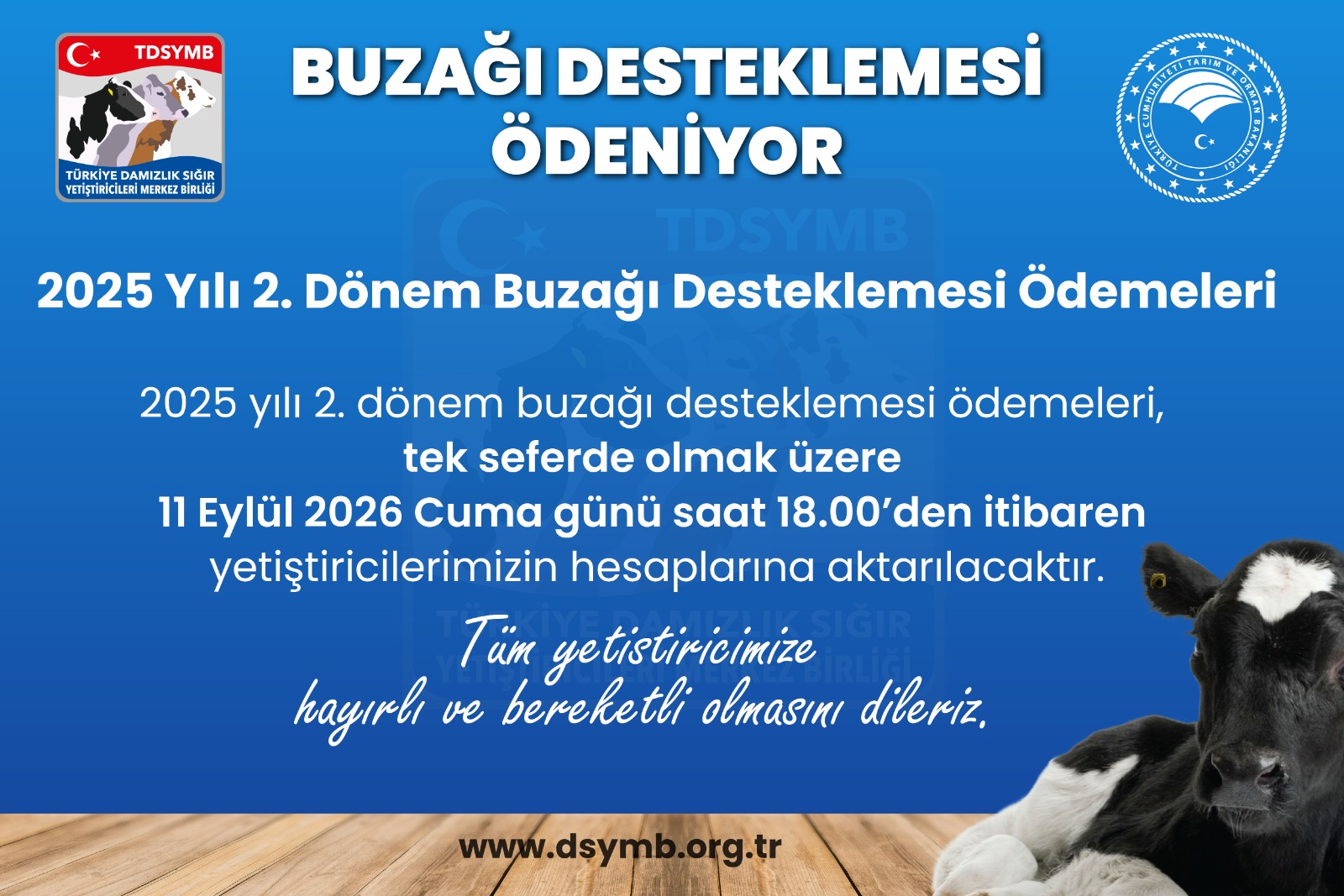 2025 YILI BUZAĞI DESTEKLEMESİ ÖDENİYOR
