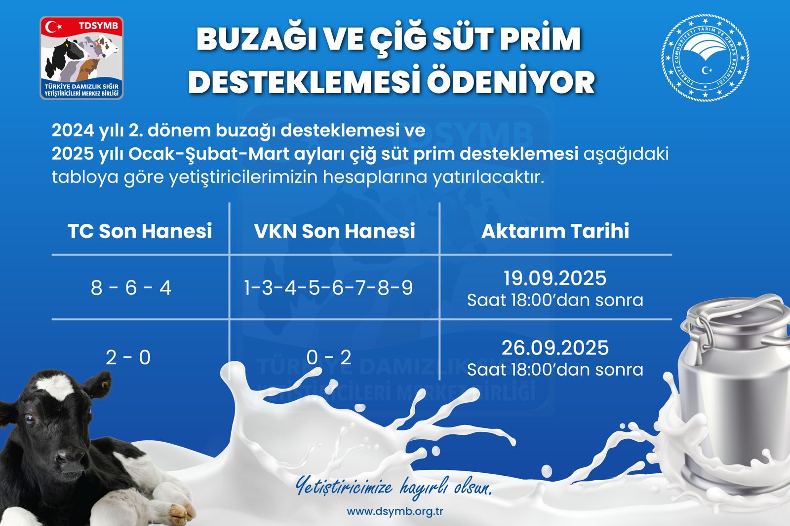 BUZAĞI VE ÇİĞ SÜT PRİM DESTEKLEMESİ ÖDENİYOR